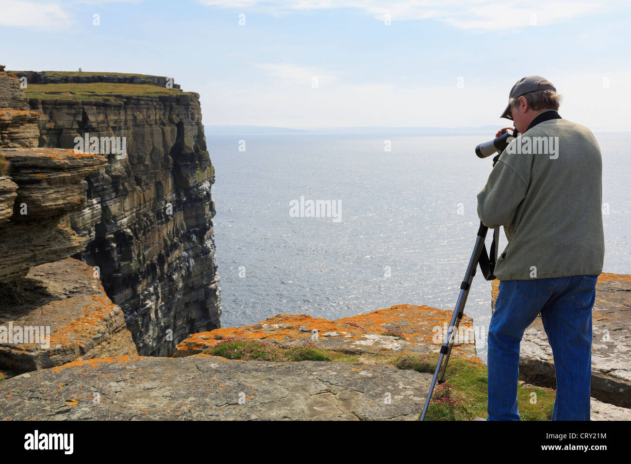 Vogelbeobachter mit einem Teleskop, Papageientaucher und Seevögel nisten auf Seacliffs Noupe Kopf Westray Insel Orkney Islands UK zu sehen Stockfoto