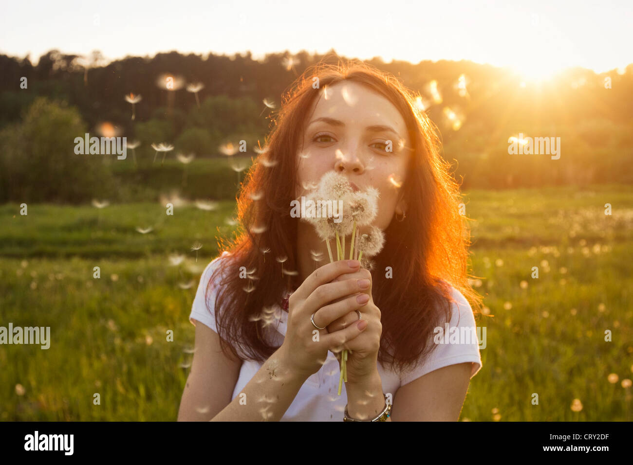 Sommer, Porträt der jungen Frau mit Löwenzahn Stockfoto