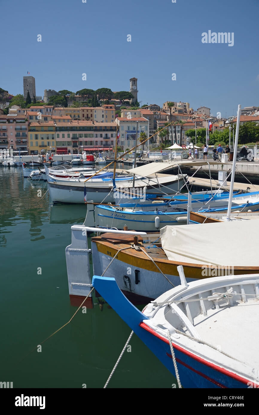 Traditionelle Fischerboote im alten Hafen, Cannes, Côte d ' Azur, Alpes-Maritimes, Provence-Alpes-Côte d ' Azur, Frankreich Stockfoto