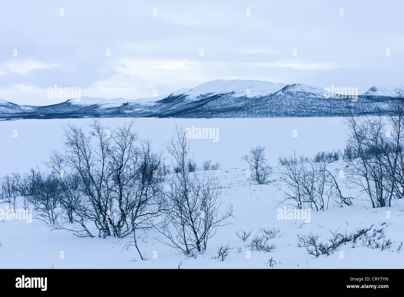 Zugefrorenen Kilpisjarvi See mit Schweden im Hintergrund in der arktischen Wildnis bei Einbruch der Dunkelheit von Kilpisjarvi, Finnland Stockfoto
