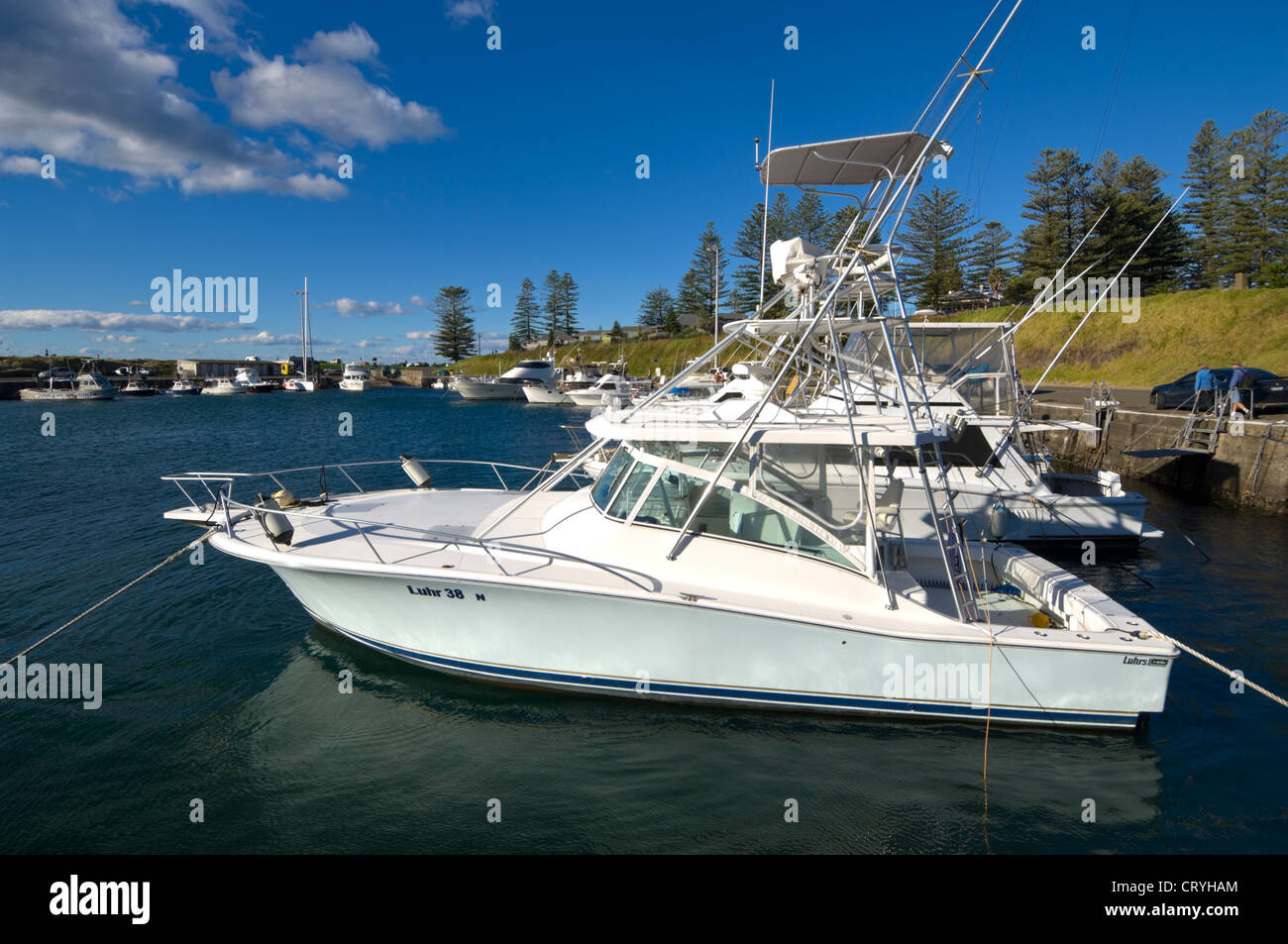 Game Fishing Boot vertäut im Hafen von Sydney, New South Wales, NSW, Australien Stockfoto