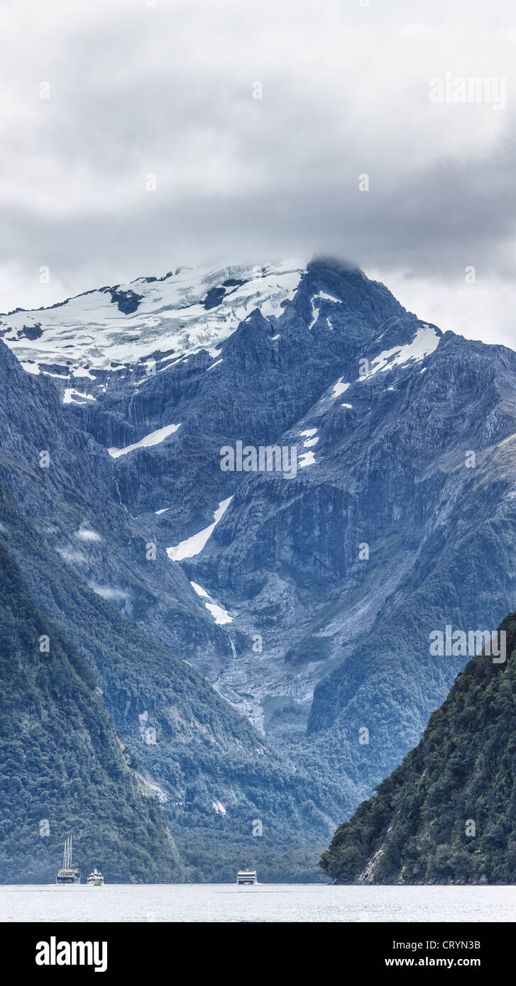 Milford Sound. New Zealand Fiordland. Vertikales panorama Stockfoto