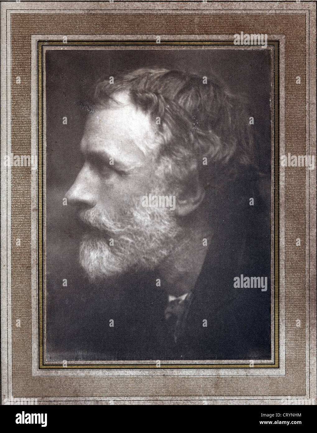 Porträt von George Meredith, 1886 von Frederick Hollyer Stockfoto
