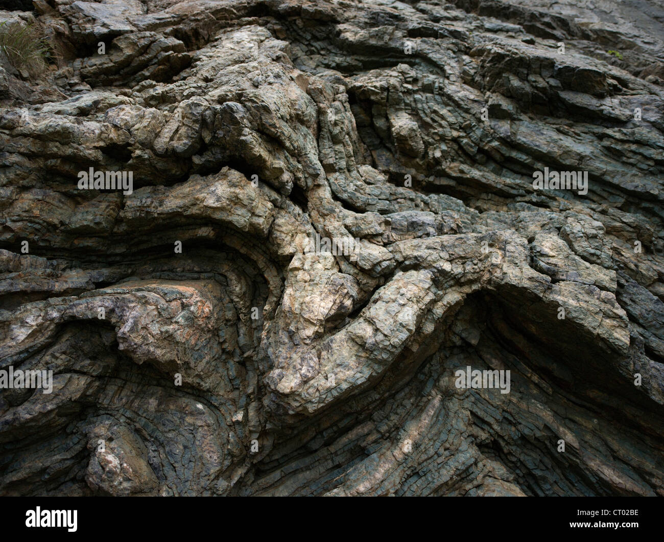 Rock-Falte in sedimentären Schichten Okinawa, Japan Stockfoto