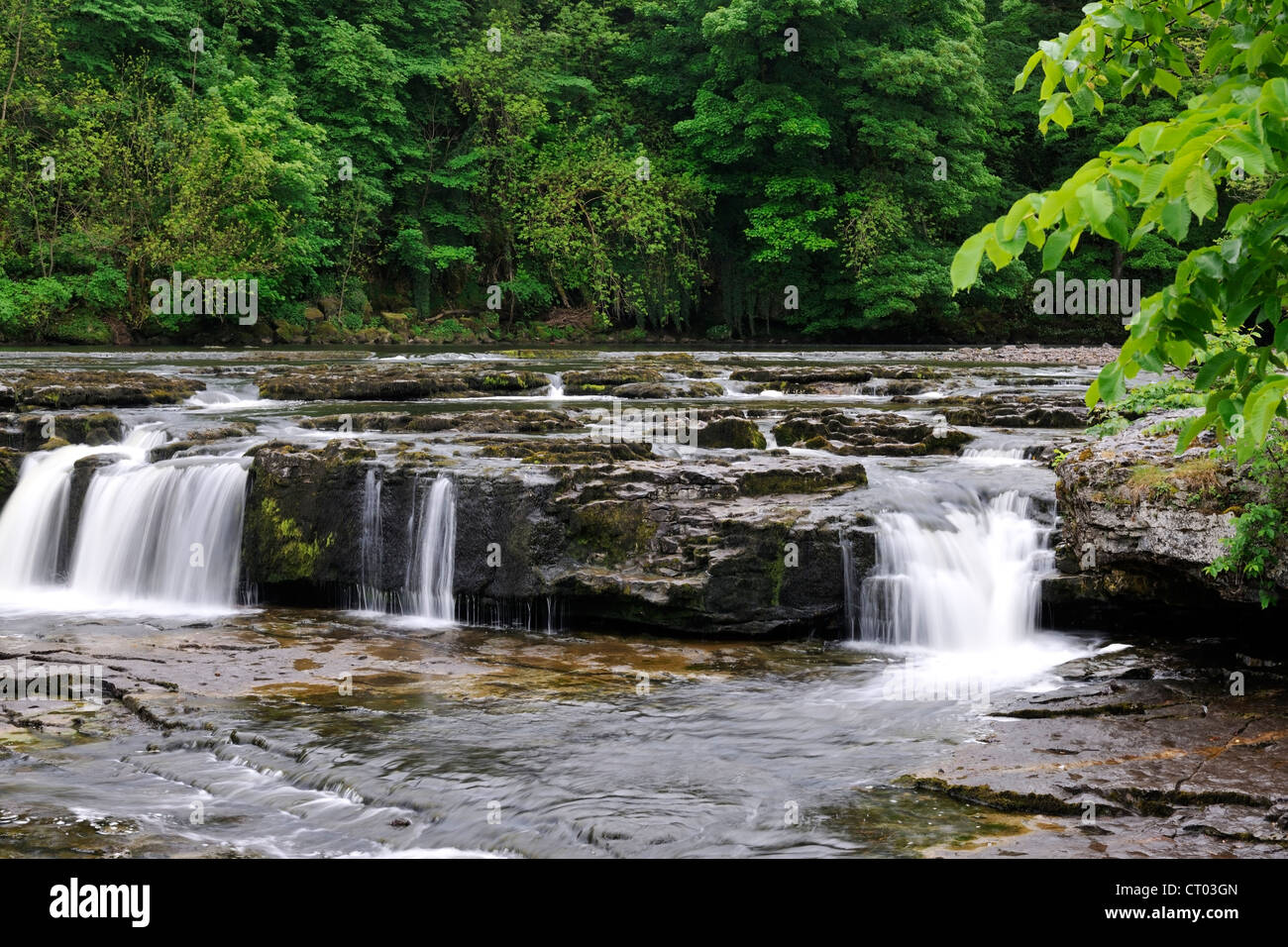 Aysgarth Upper Falls, Wensleydale, Yorkshire, England Stockfoto