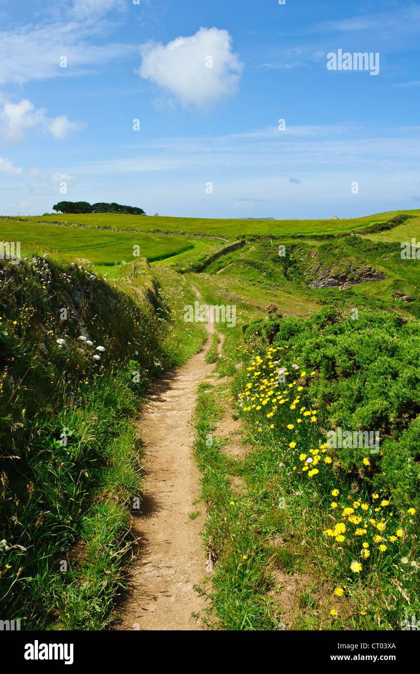 Pentire Punkt entlang der North Cornwall Coast England in Richtung Padstow Bay Stockfoto