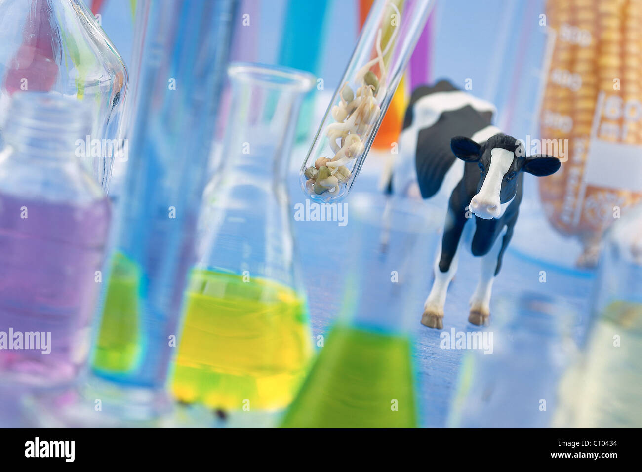 BIOTECHNOLOGIE, GVO Stockfoto