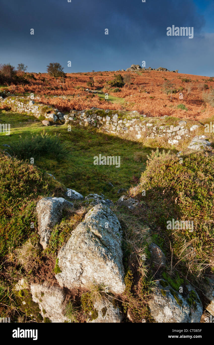 Hound Tor verlassene mittelalterliche Dorf an einem Winter Morgen, Dartmoor Nationalpark. Stockfoto