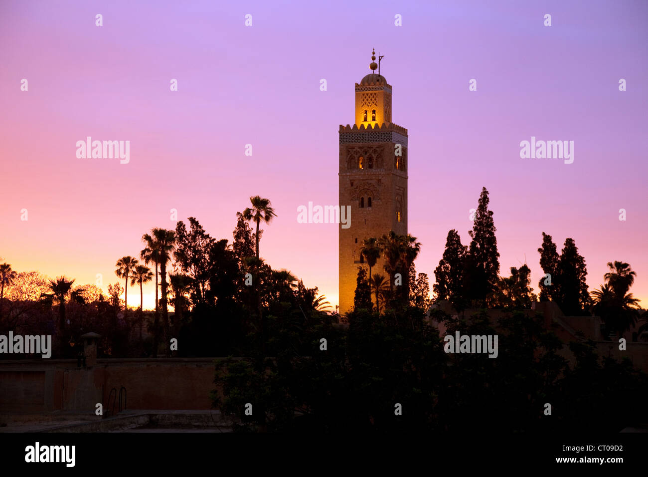 Koutoubia Moschee bei Sonnenuntergang, Medina, Marrakesch, Marokko Afrika Stockfoto