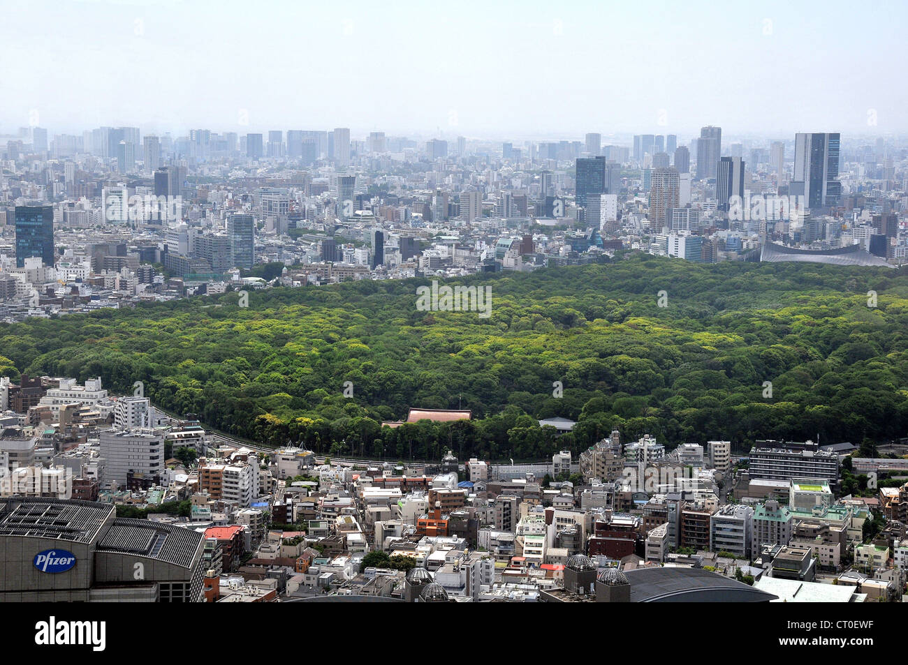 Luftbild auf Yoyogi Park Shibuya Tokio Japan Asien Stockfoto