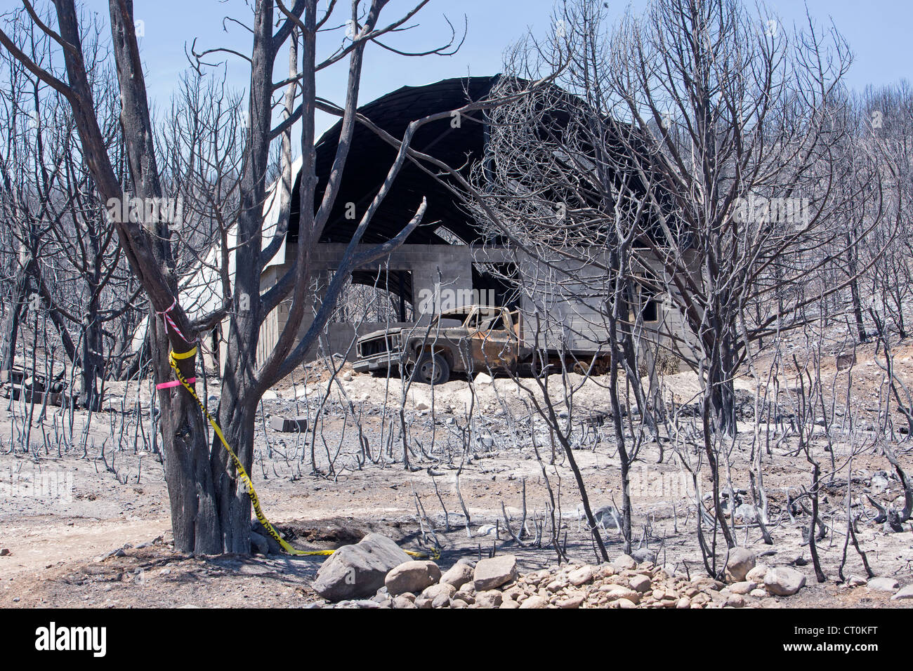 Wald ein Lauffeuer tobt außer Kontrolle als Feuerwehrleute im ganzen Land ankommen und auf die gefährlichen Notfall reagieren. Stockfoto