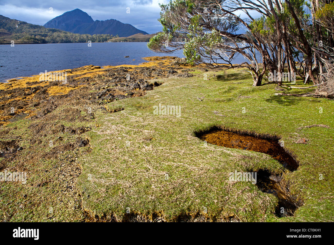 Blick auf Mt Rugby vom Wald Lagune Tasmaniens-Southwest-Nationalpark Stockfoto