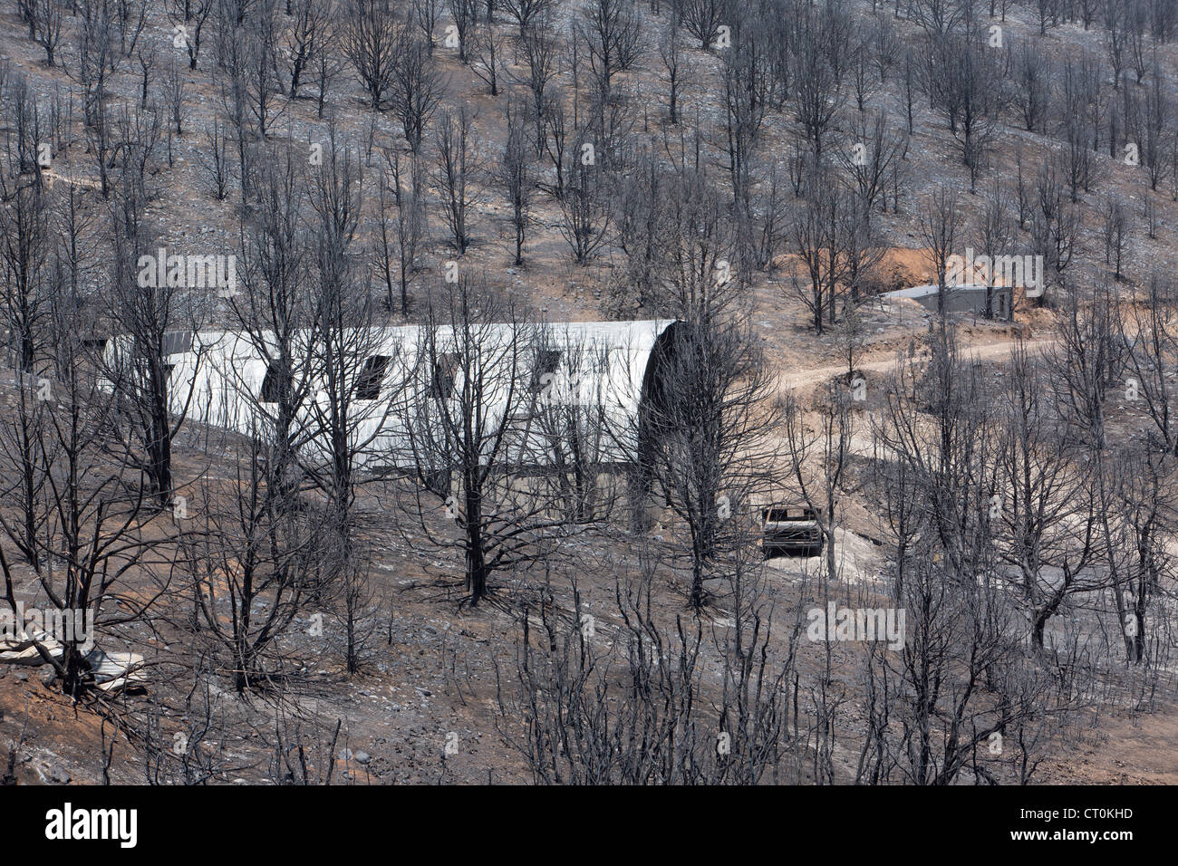 Wald ein Lauffeuer tobt außer Kontrolle als Feuerwehrleute im ganzen Land ankommen und auf die gefährlichen Notfall reagieren. Stockfoto