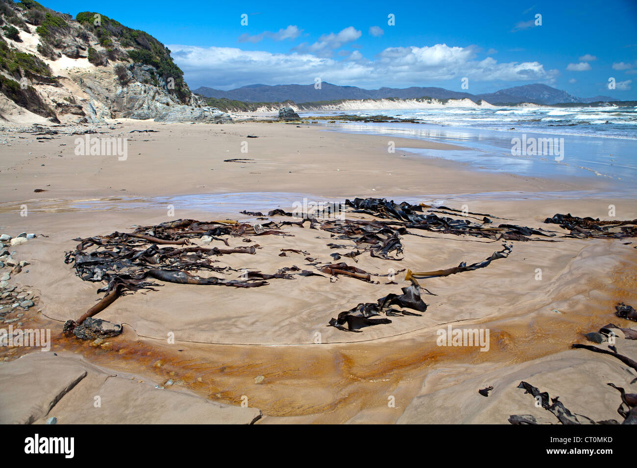 Die abgelegenen Strand Stephens Bay in Tasmaniens Southwest-Nationalpark Stockfoto