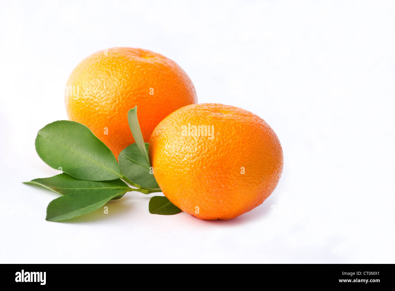 Frische Orangen Clementine ((Citrus reticulata) auf weißem Hintergrund Stockfoto