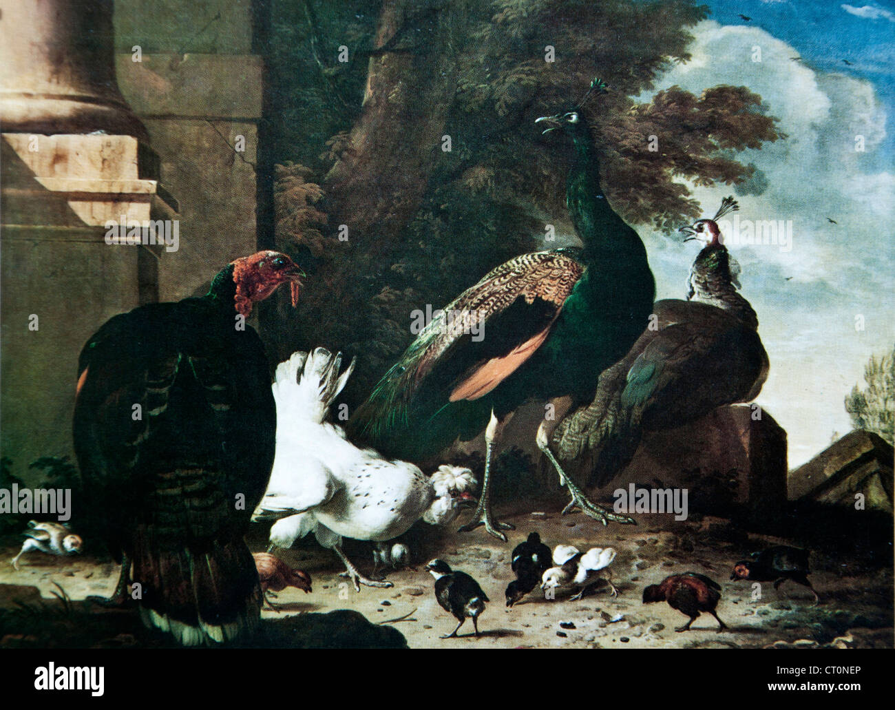 Hennen, Hühner, Pfauen und Türkei – Melchior de Hondecoeter Stockfoto
