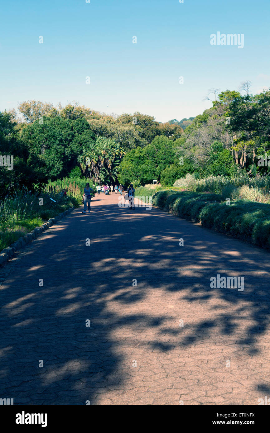 Touristen im Kirstenbosch National Botanical Garden, Kapstadt, Südafrika Stockfoto