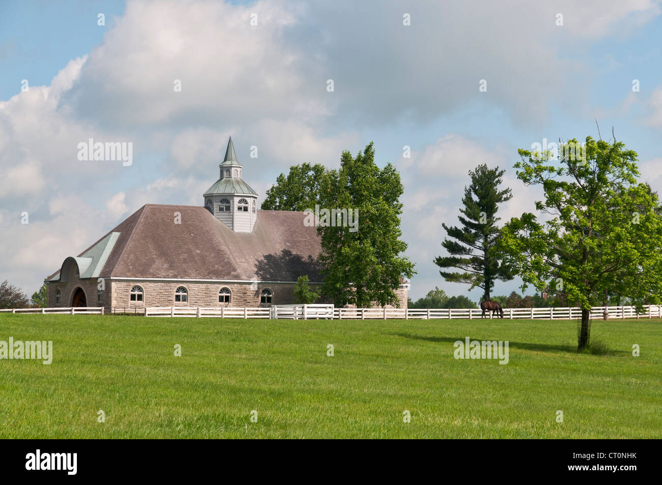 Kentucky, Lexington Nähe, Donamire Hof, Stall, Pferd auf der Weide Stockfoto