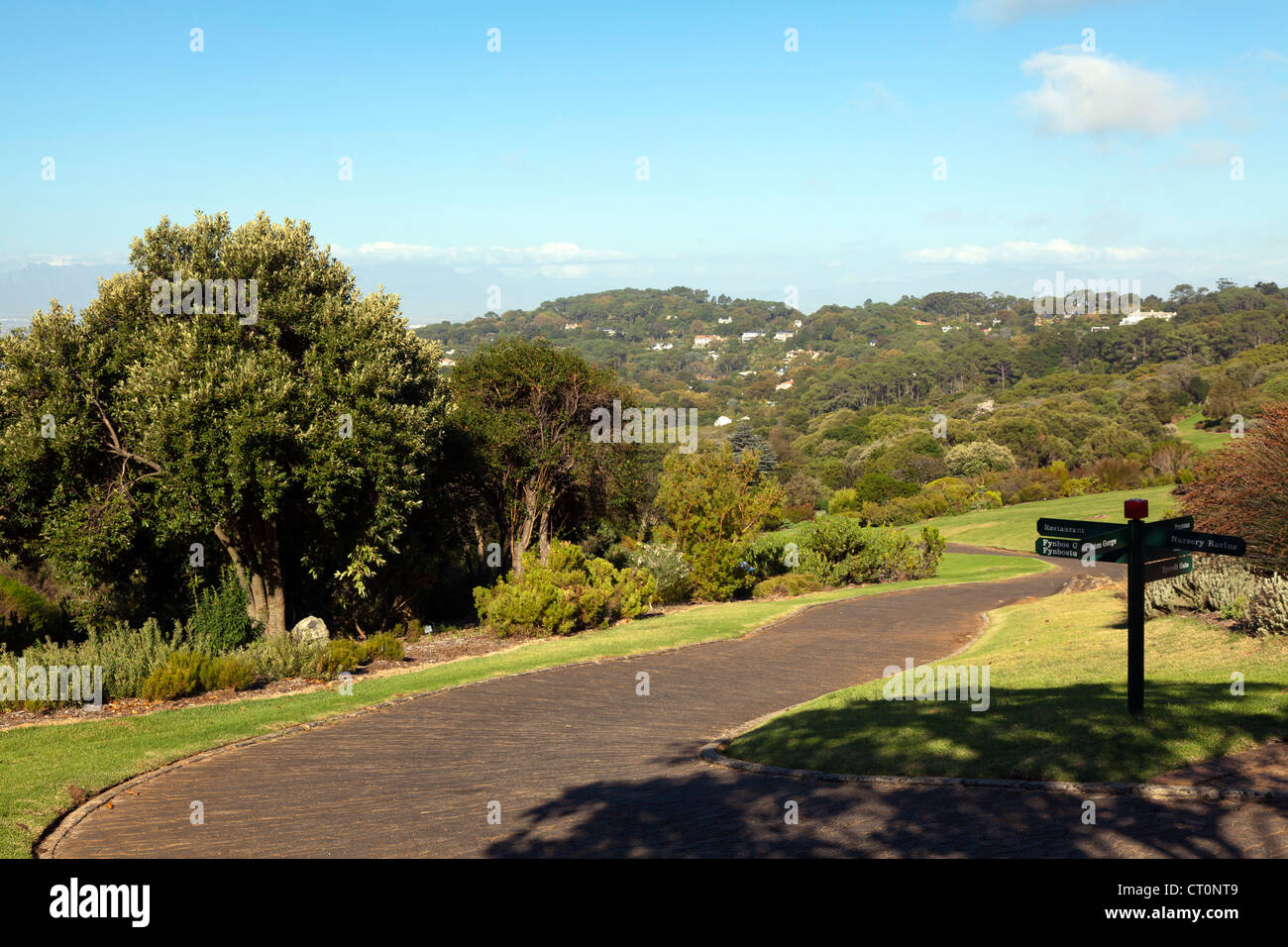 Weg durch Kirstenbosch National Botanical Garden, Kapstadt, Südafrika Stockfoto