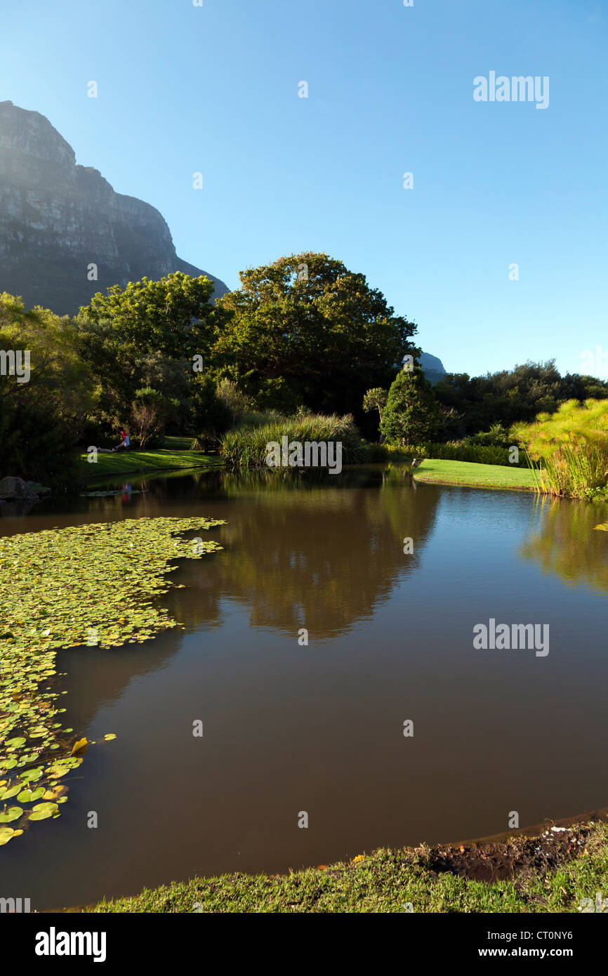 See im Kirstenbosch National Botanical Garden, Kapstadt, Südafrika Stockfoto