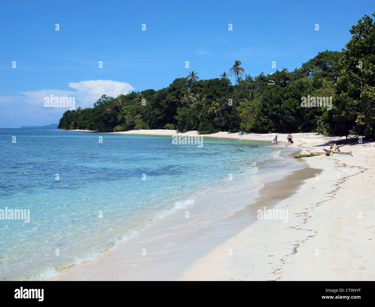 Karibischen Sandstrand mit üppiger Vegetation auf einer tropischen Insel Zapatilla Cayes, Bocas del Toro, Panama Stockfoto