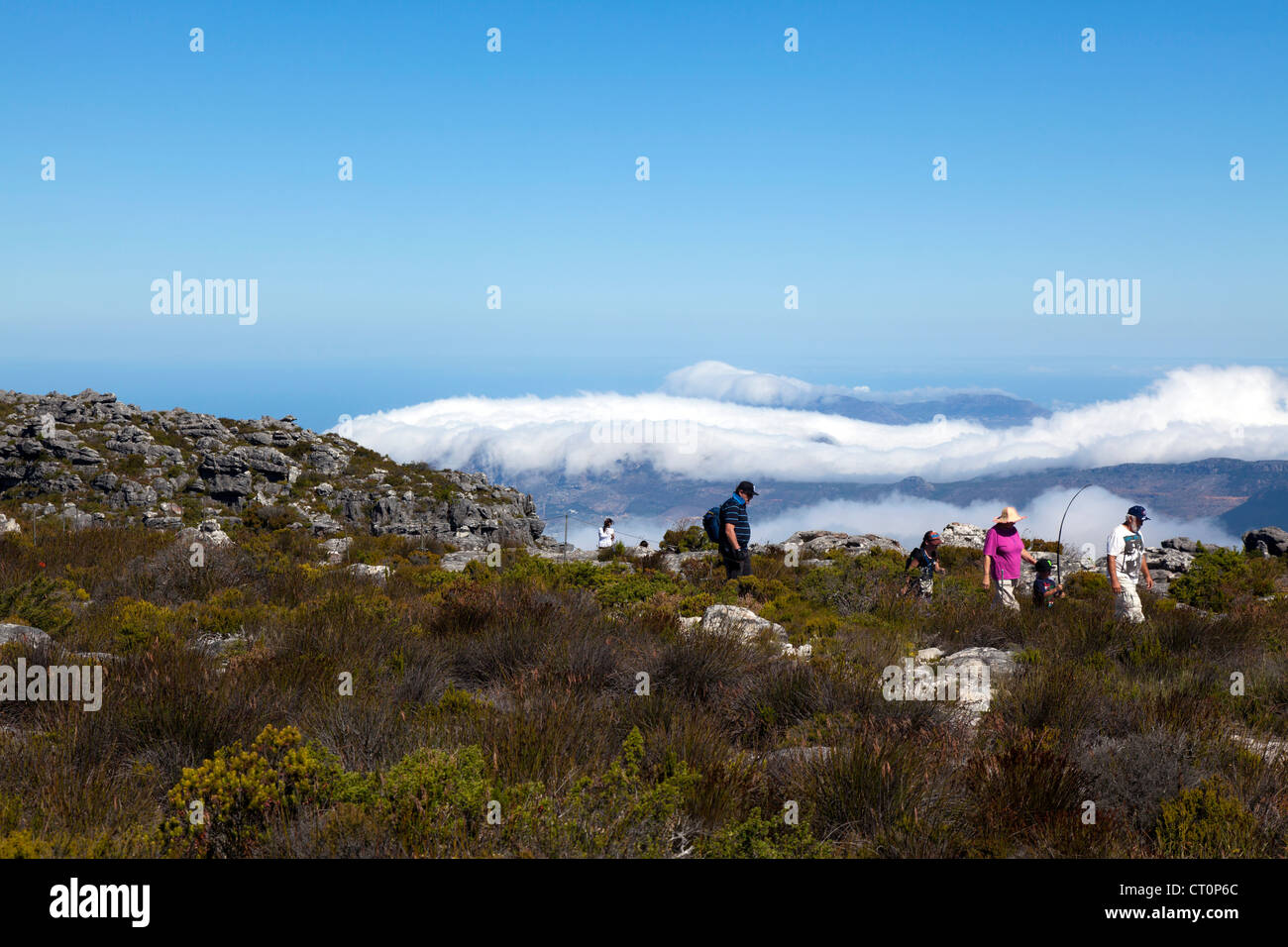 Touristen auf dem Gipfel des Tafelberg, Kapstadt, Südafrika Stockfoto