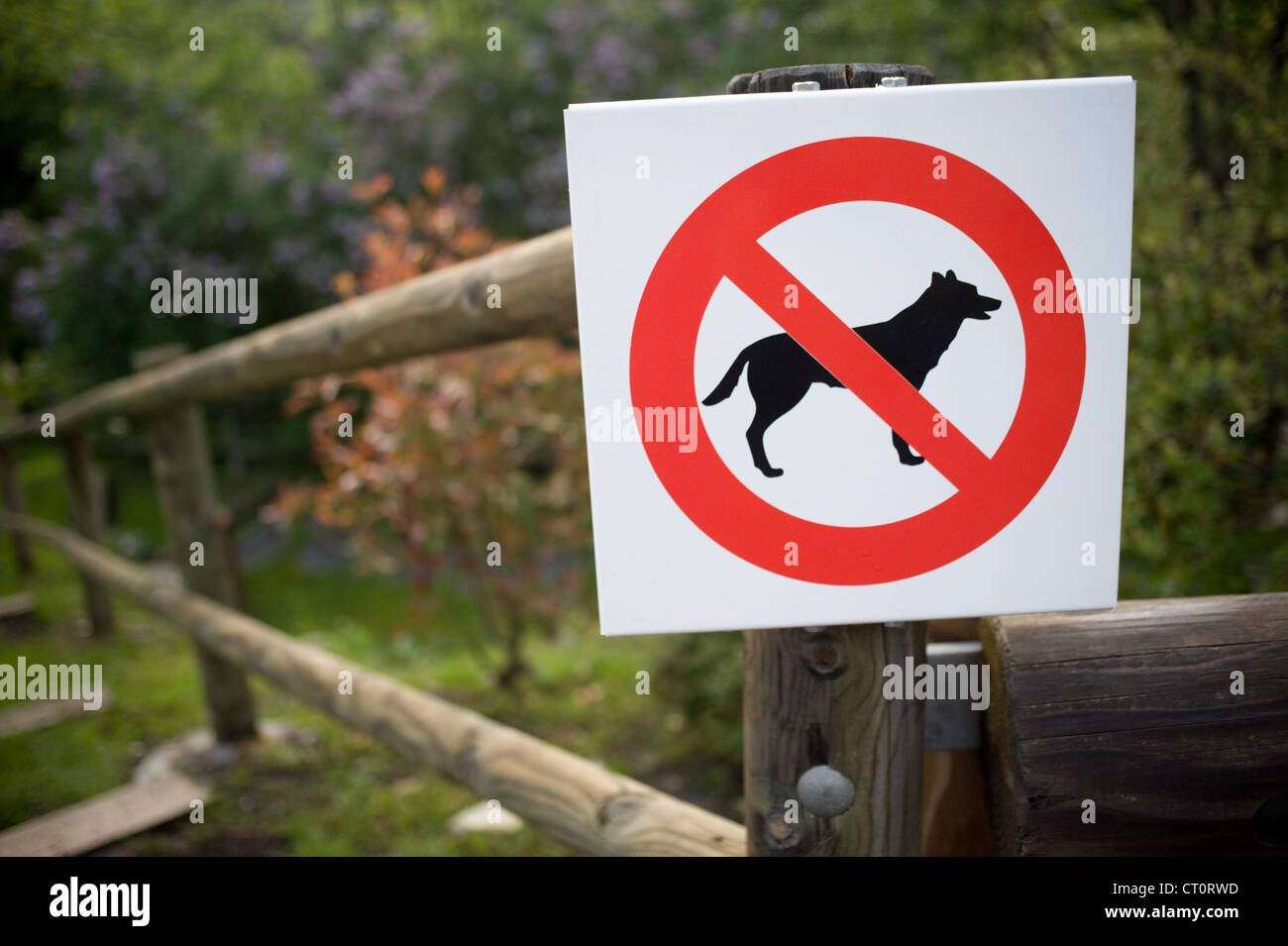 Keine Hunde erlaubt signal Stockfoto