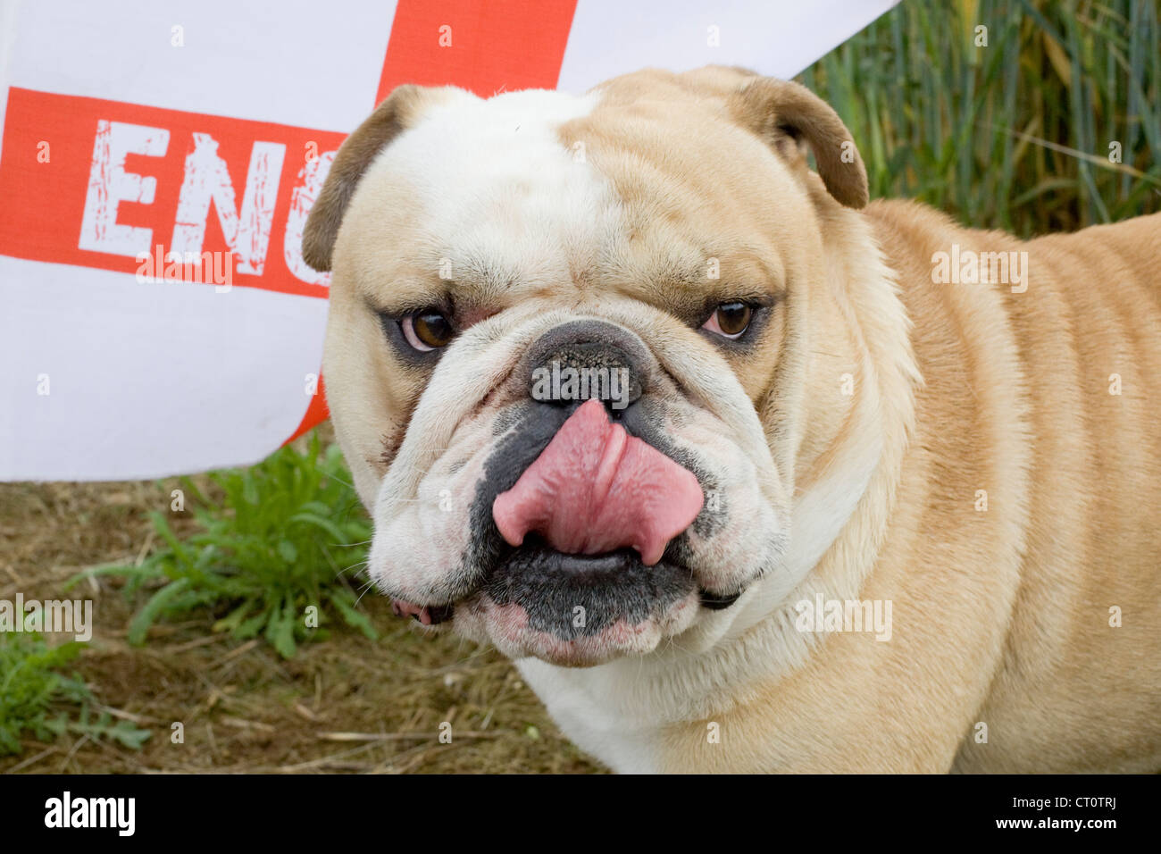 St. George‘s England Wimpelkette – 3 M, 10 Flaggen, Polyester, Für Fußball, Rugby & Gartenparty