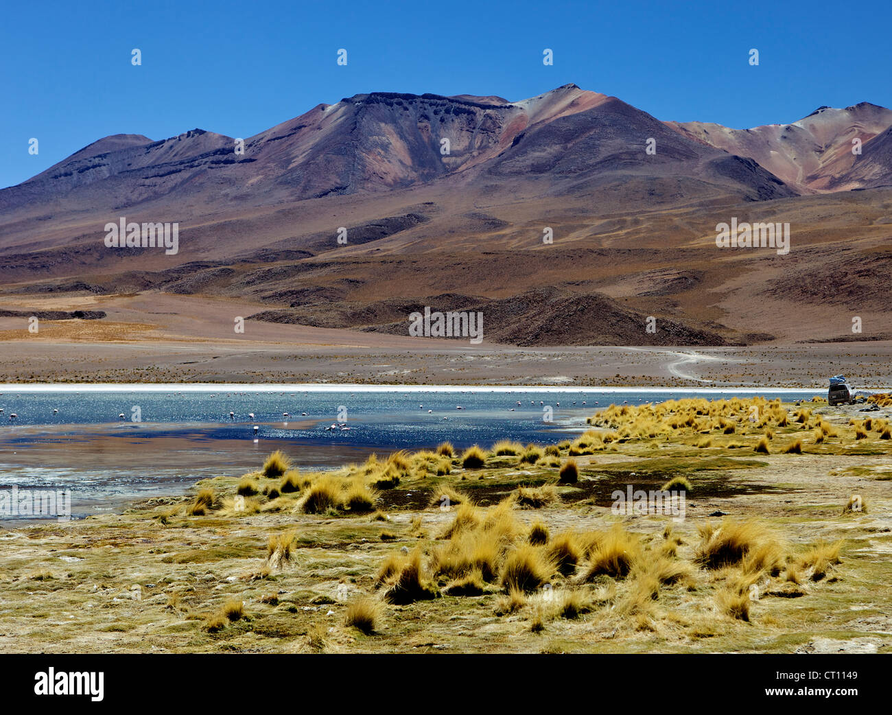 Laguna Canapa, Süd Lipez Southwest Highlands, Bolivien, Südamerika Stockfoto