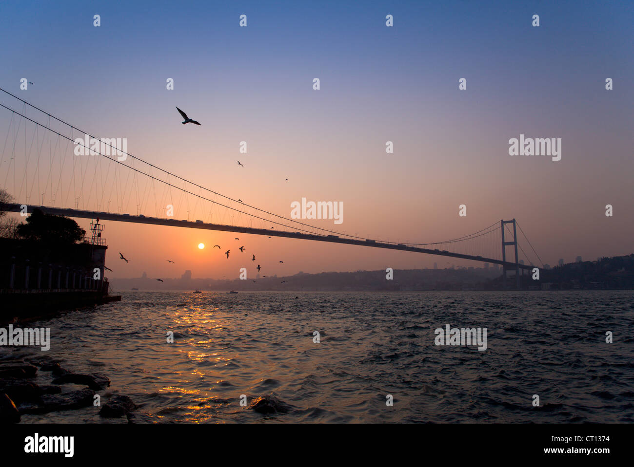 Vögel fliegen über Brücke an der städtischen Bucht Stockfoto