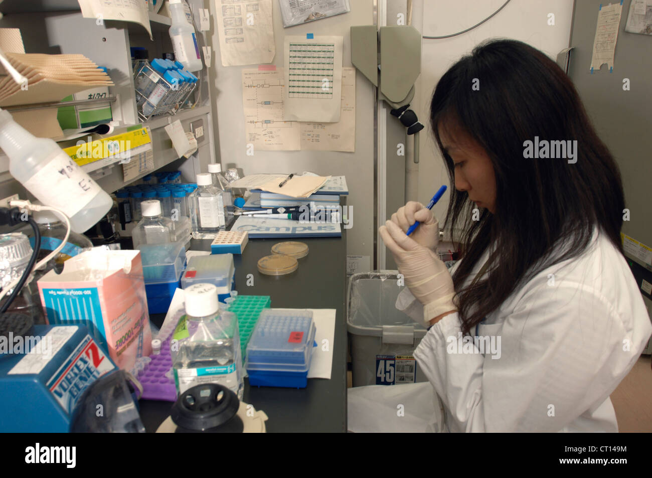 Techniker, die Kennzeichnung Petrischalen mit adulten Stammzellen Stockfoto