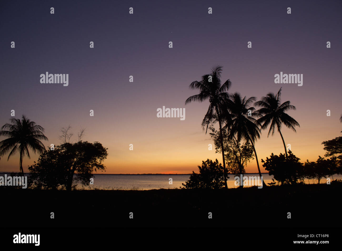 Silhouette der Palmen bei Sonnenuntergang Stockfoto