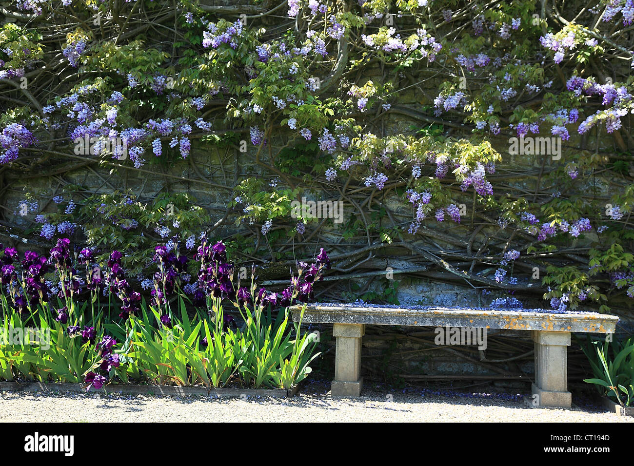 Loseley Park und Garten, Surrey Hills, Surrey, England Stockfoto