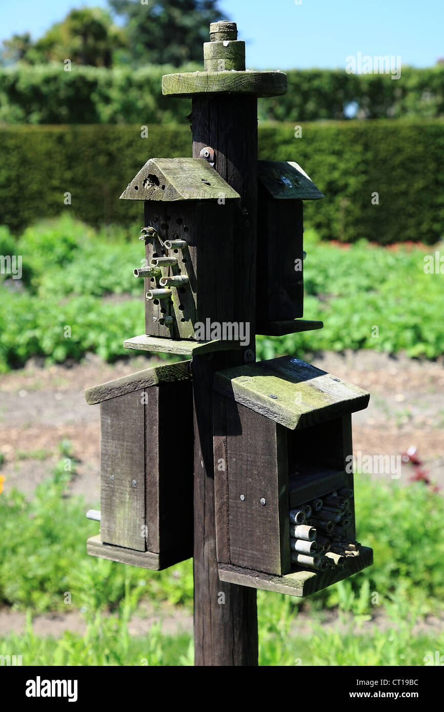 Insektenhaus Stockfoto