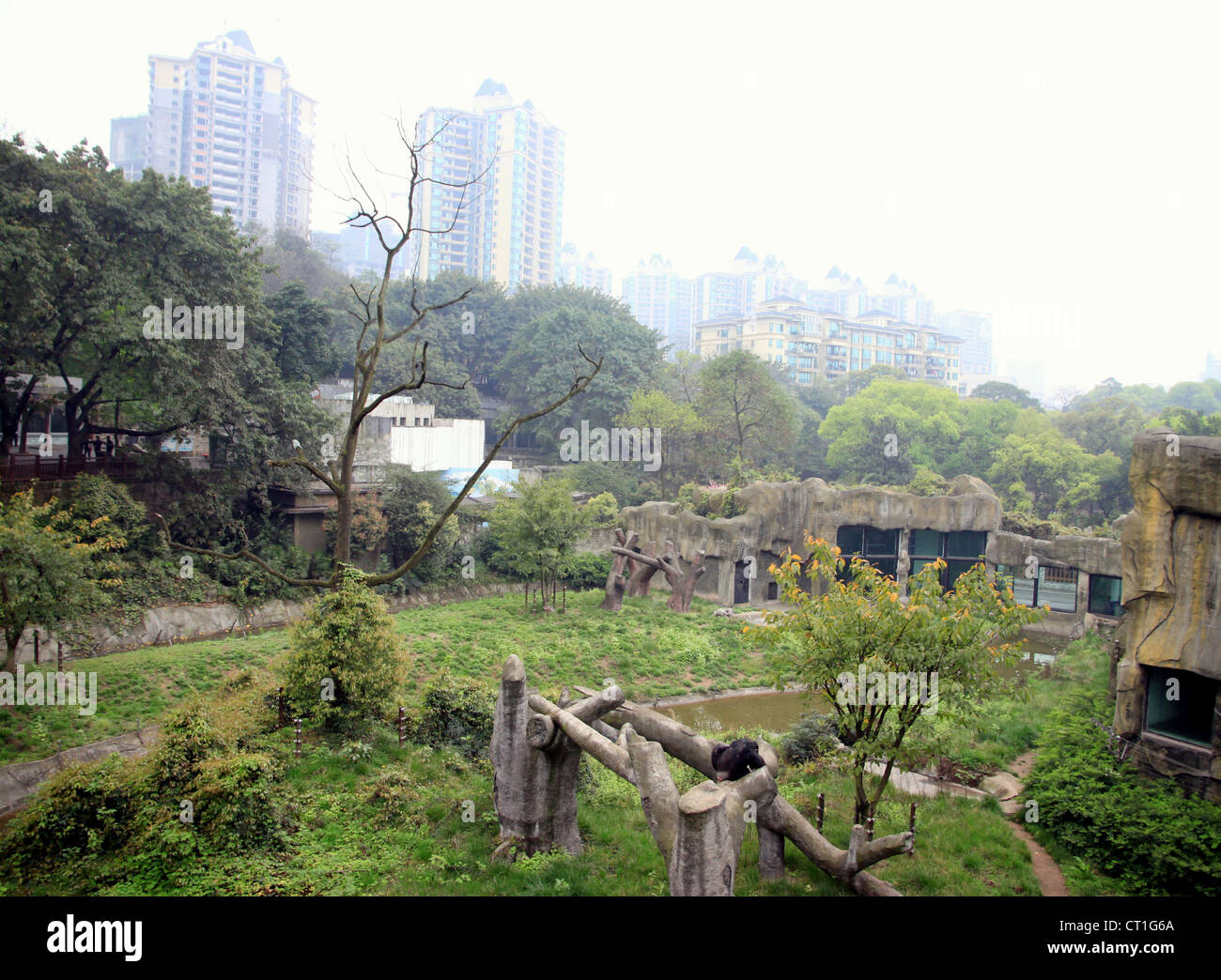 Ein Blick auf den Zoo von Chongqing Stockfoto