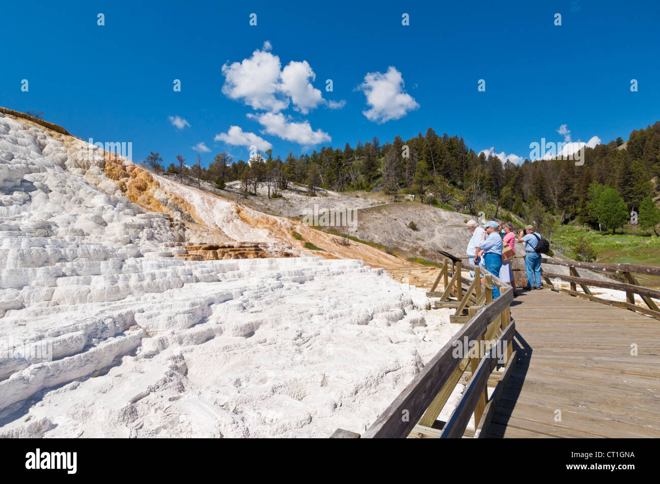 Touristen, die Palette anzeigen entspringen den Pfad Mammoth Hot Springs Yellowstone Nationalpark Wyoming USA Vereinigte Staaten von Amerika Stockfoto