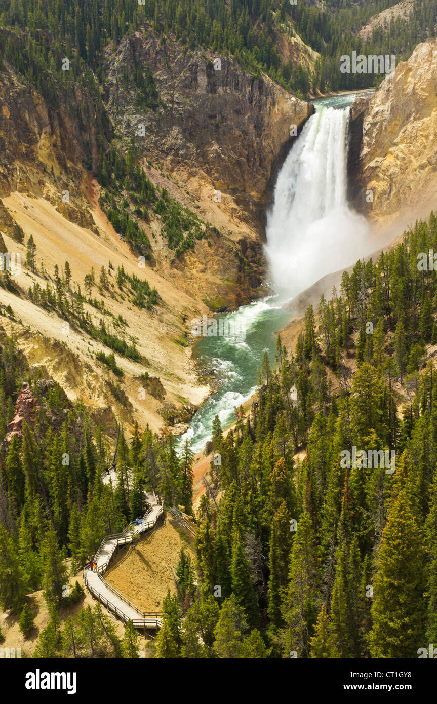 Yellowstone Wasserfall niedriger fällt Fluss und Grand Canyon des Yellowstone Nationalpark Wyoming USA Vereinigte Staaten von Amerika Stockfoto