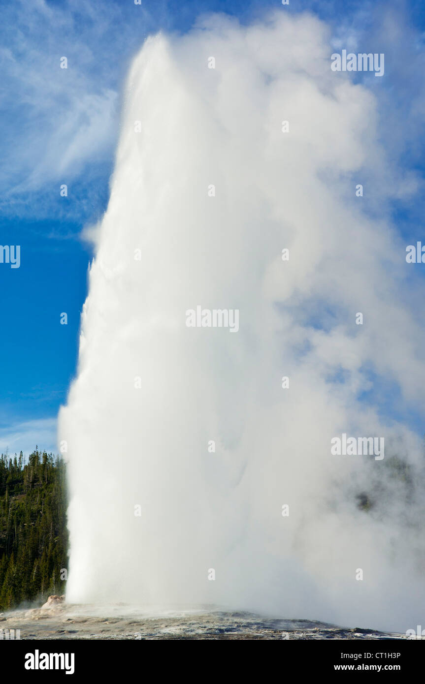 alten Gläubigen oberen Geysir-Becken Yellowstone Nationalpark Wyoming Usa Vereinigte Staaten von Amerika Stockfoto