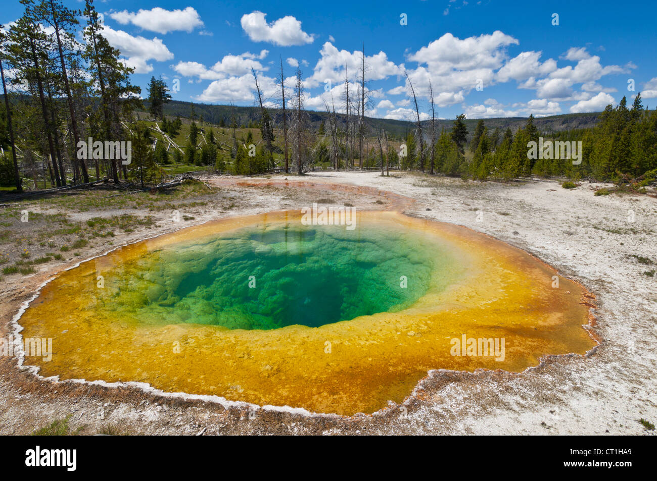 Morning Glory Pool Yellowstone Nationalpark oberen Geysir-Becken Wyoming Usa Vereinigte Staaten von Amerika Stockfoto