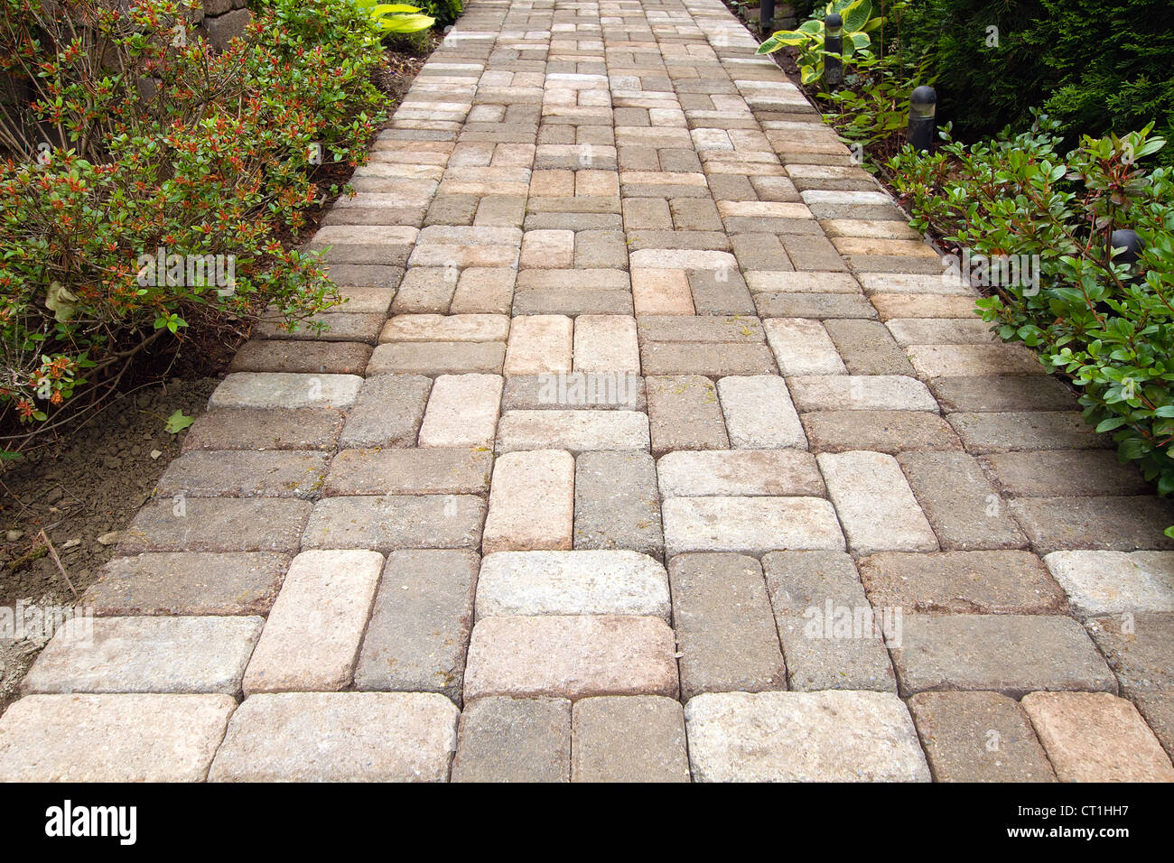 Garten Backstein Fertiger Weg Gehweg mit Beasket Stoffmuster Stockfoto