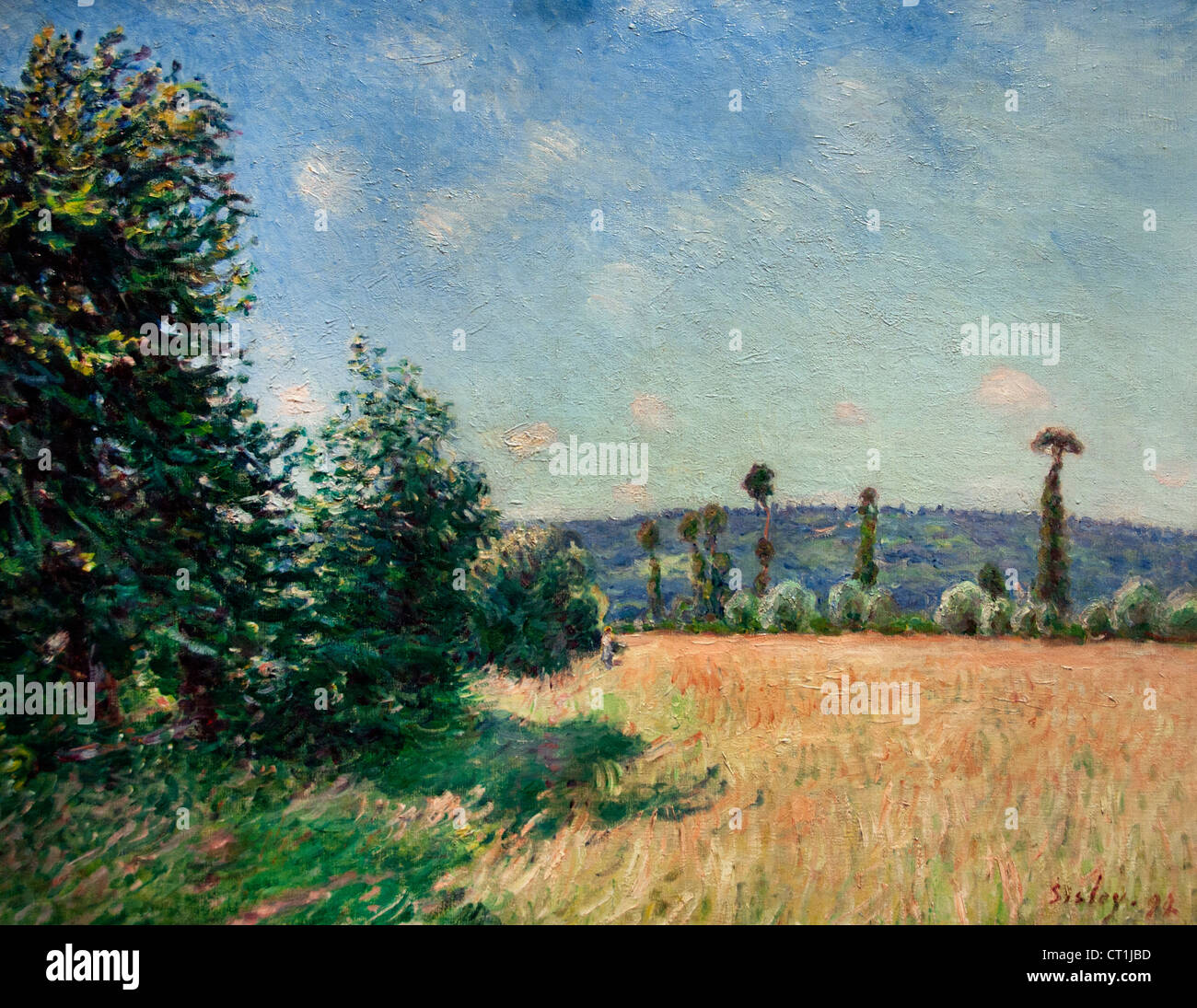 Sahurs Wiesen Morgen Sonne 1894 Alfred Sisley Alfred Sisley 1839-1899 britischen / französischen Impressionisten Stockfoto