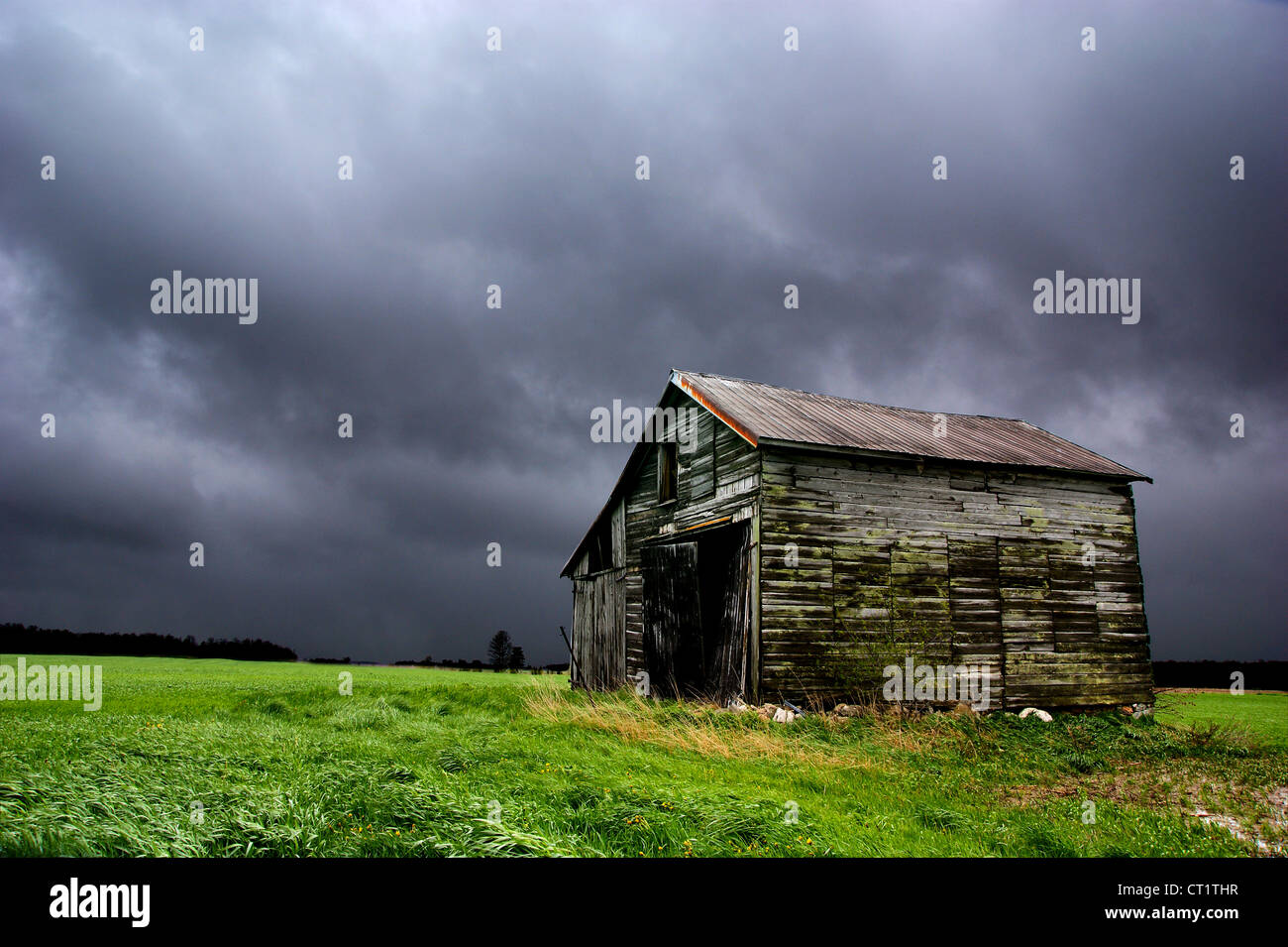 Eine verlassene Scheune in Grey County, Ontario Stockfoto