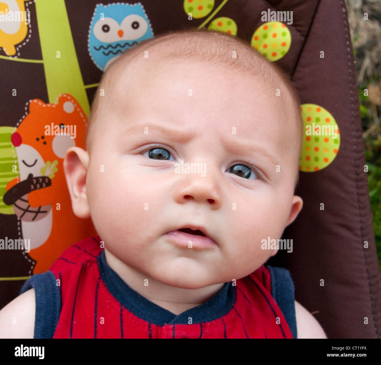 4 Monate alten Jungen, Cincinnati, Ohio Stockfoto