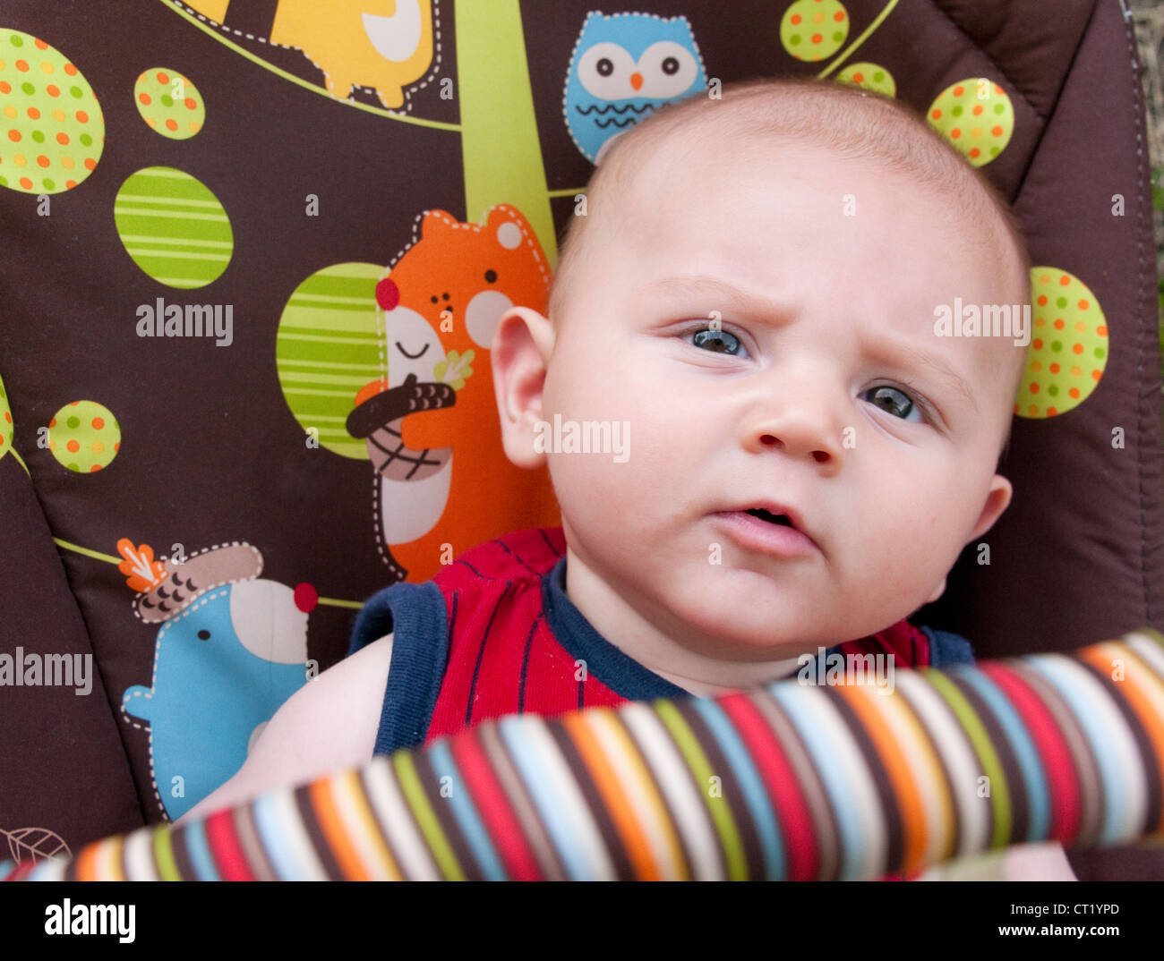 4 Monate alten Jungen, Cincinnati, Ohio Stockfoto