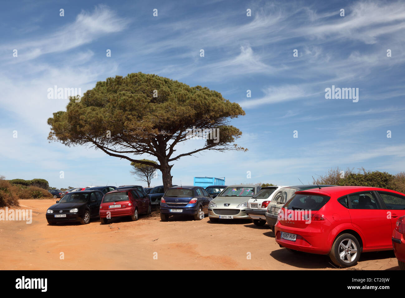 Autos parken am Strand Cala del Aceite in Conil De La Frontera, Andalusien, Spanien Stockfoto