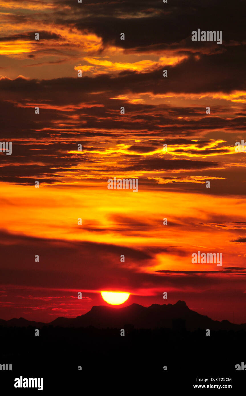 Ein Sonnenuntergang färbt den Himmel während der Monsun-Saison in der Sonora-Wüste, Tucson, Arizona, USA. Stockfoto