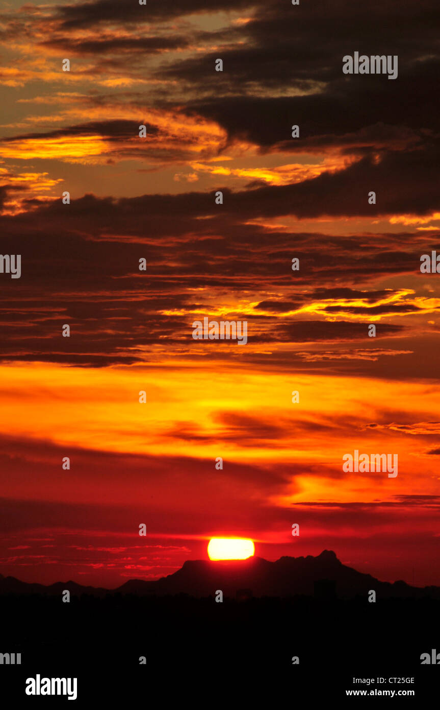 Ein Sonnenuntergang färbt den Himmel während der Monsun-Saison in der Sonora-Wüste, Tucson, Arizona, USA. Stockfoto