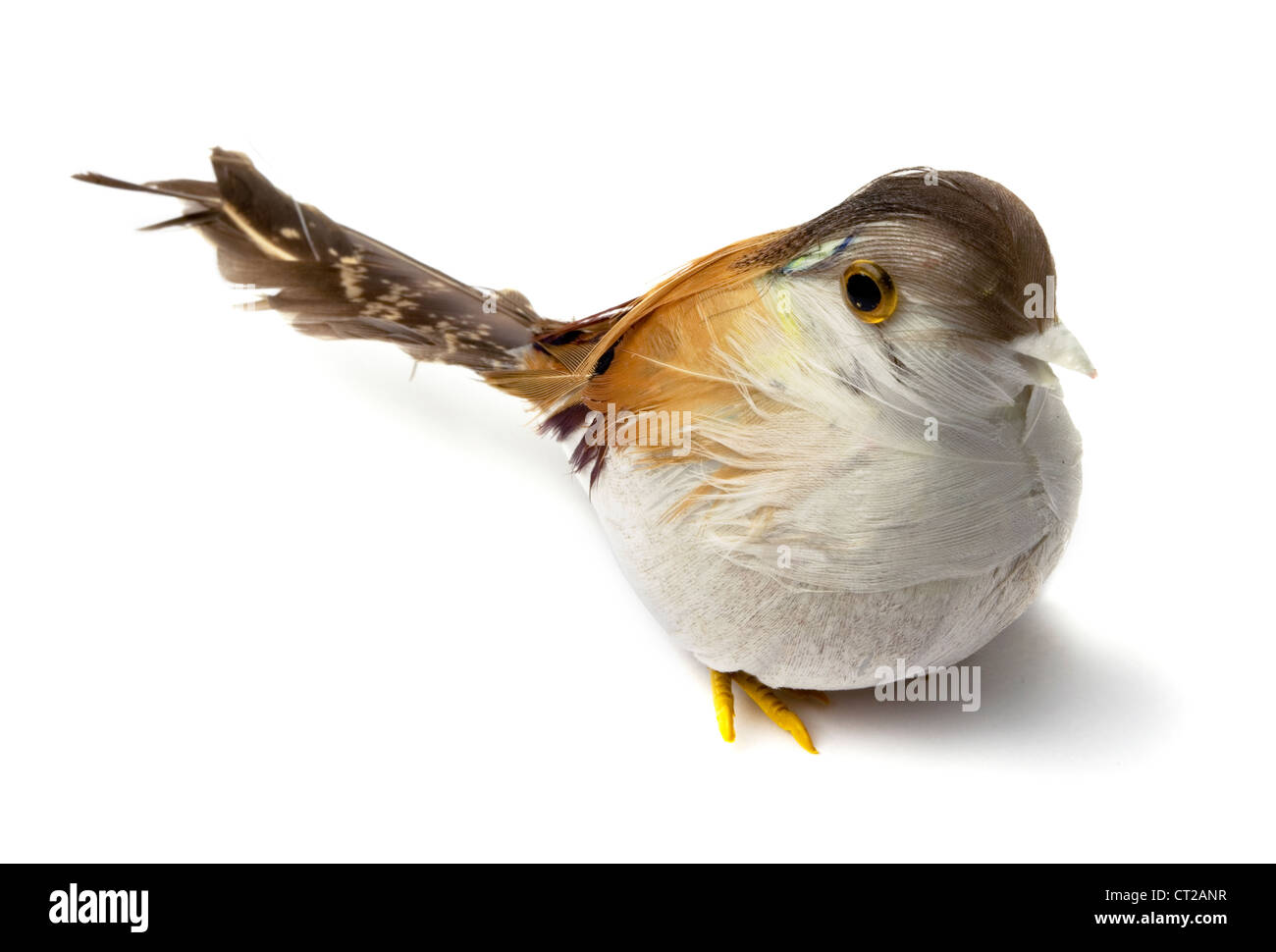 Künstliche Feder Vögel für die Innendekoration, die isoliert auf weiss Stockfoto