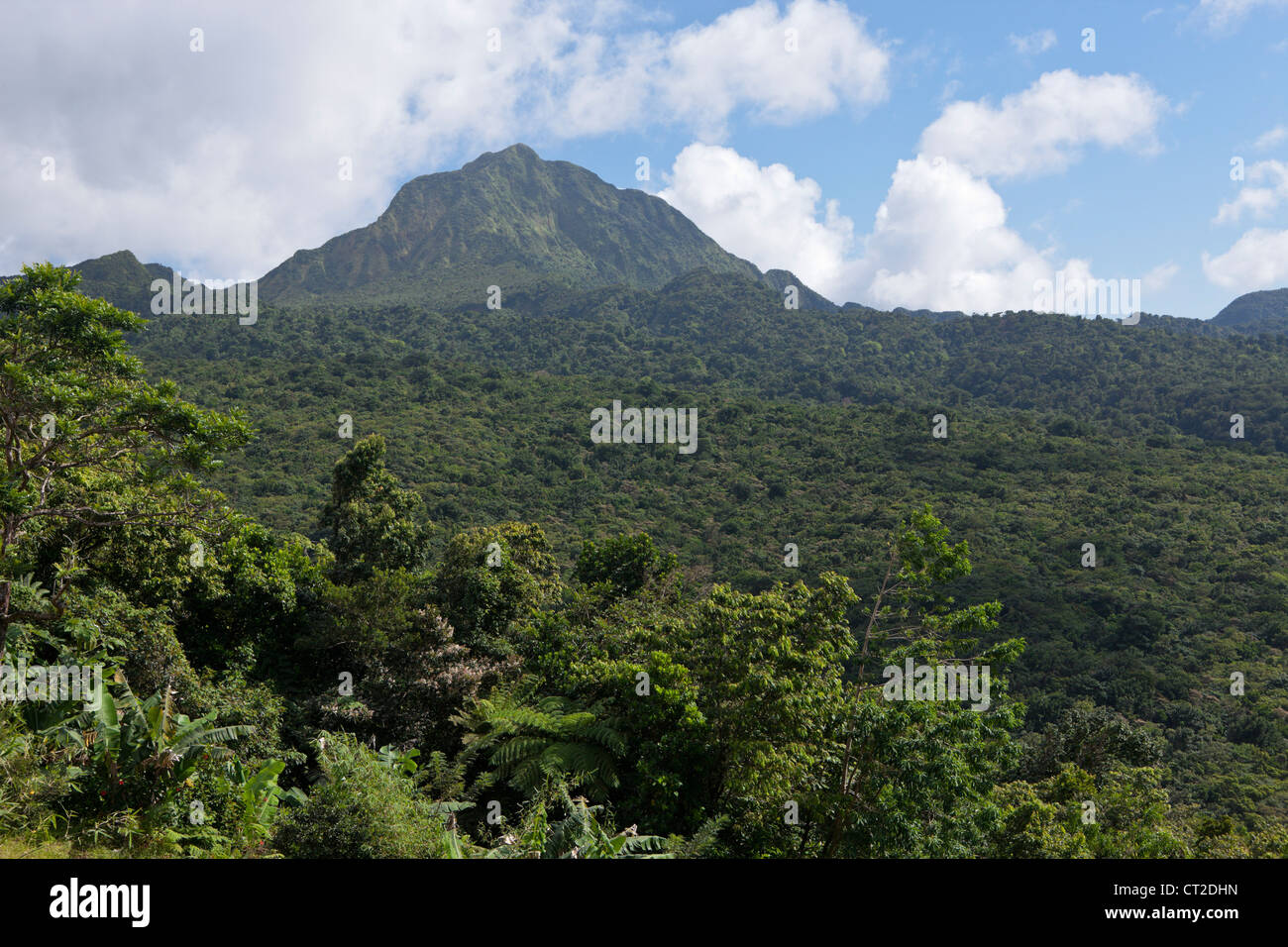 Landschaft der Nationalpark Morne Trois Pitons, Dominica, Karibik Stockfoto