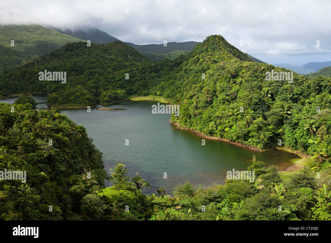 Süßwassersee im Nationalpark Morne Trois Pitons, Dominica, Karibik Stockfoto